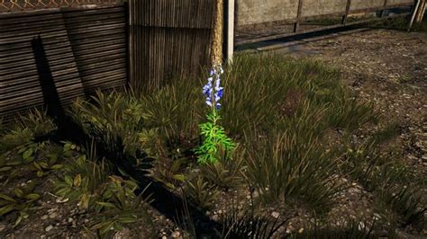 far cry 4 syringes  • Regular: Fixed crafting recipe for Deep Dive syringe